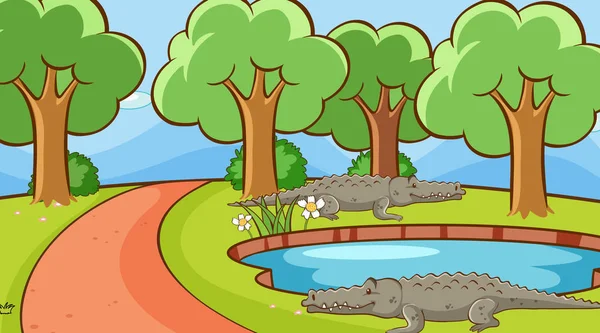 Cena com crocodilos no parque —  Vetores de Stock