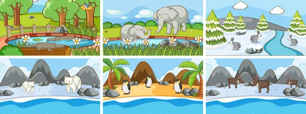 Background scenes of animals in the wild — 스톡 벡터