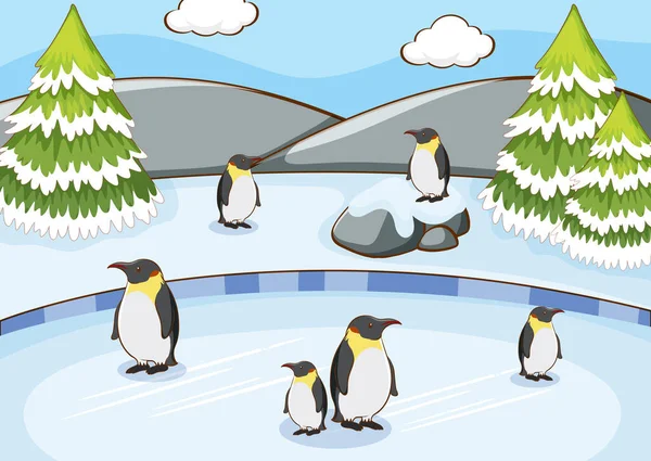 Cena com pinguins na neve —  Vetores de Stock