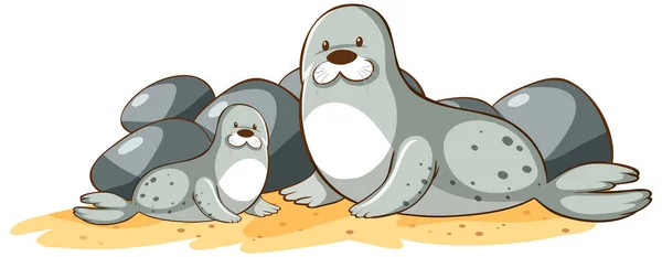 Gray seals on white background — 스톡 벡터