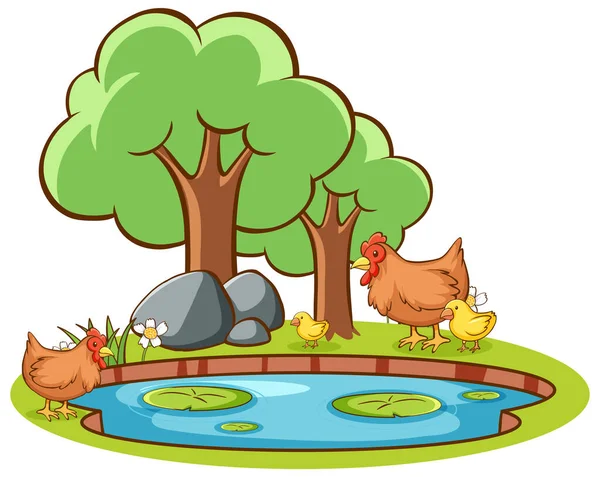 Isoliertes Bild von Hühnern am Teich — Stockvektor