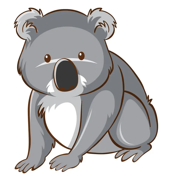 Lindo koala sobre fondo blanco — Archivo Imágenes Vectoriales