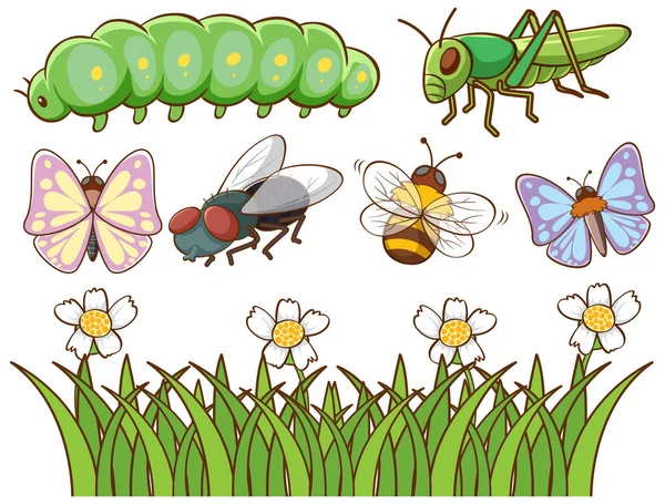 Imagen aislada de diferentes insectos — Archivo Imágenes Vectoriales