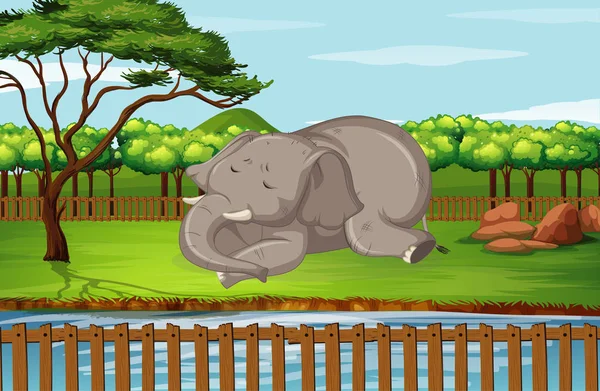 Escena con elefante en el zoológico — Vector de stock