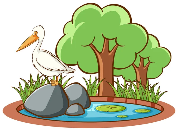 Isolated picture of stork on rock — 스톡 벡터