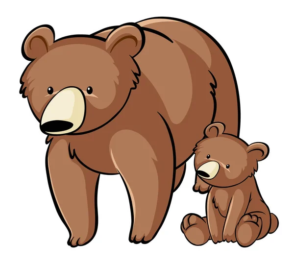 Grizzly ursos no fundo branco —  Vetores de Stock