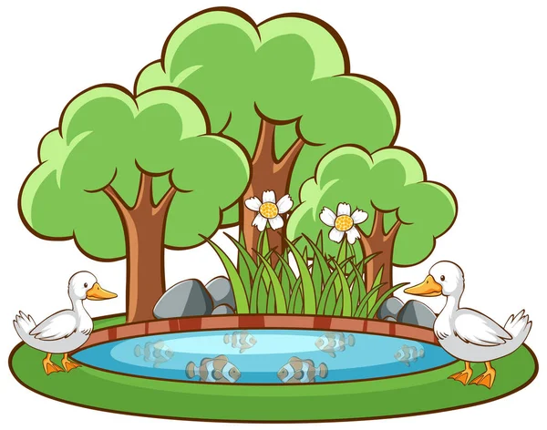 Patos en el estanque sobre fondo blanco — Vector de stock