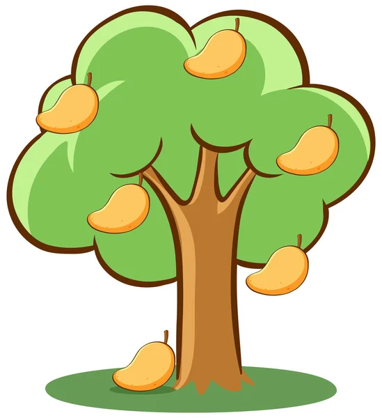 Mango tree on white background Stock Vector