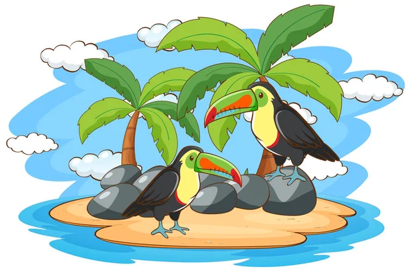 Escena con dos pájaros tucanes en la isla — Archivo Imágenes Vectoriales