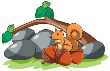 Isolated picture of squirrel and nuts clipart