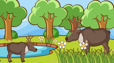 Parkta geyikli sahne