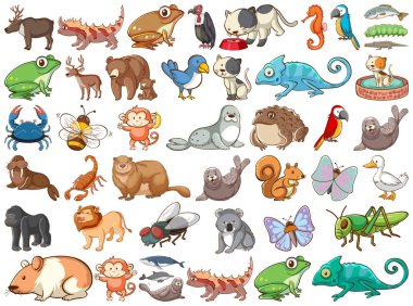 Large set of wildlife with many types of animals land and sea clipart