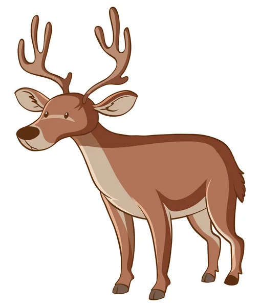 Brown deer on white background — Stock Vector