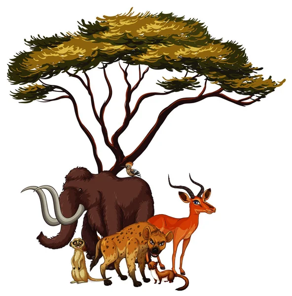 Isoliertes Bild von Tieren unter dem Baum — Stockvektor