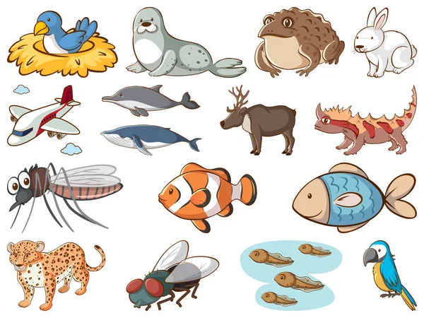 Large set of wildlife with many types of land and water animals — 스톡 벡터