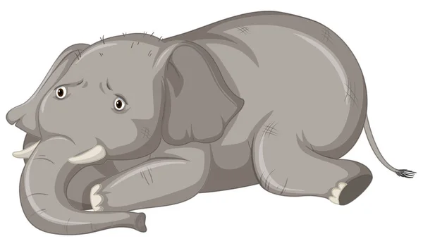 Elefante enfermo sobre fondo blanco — Vector de stock