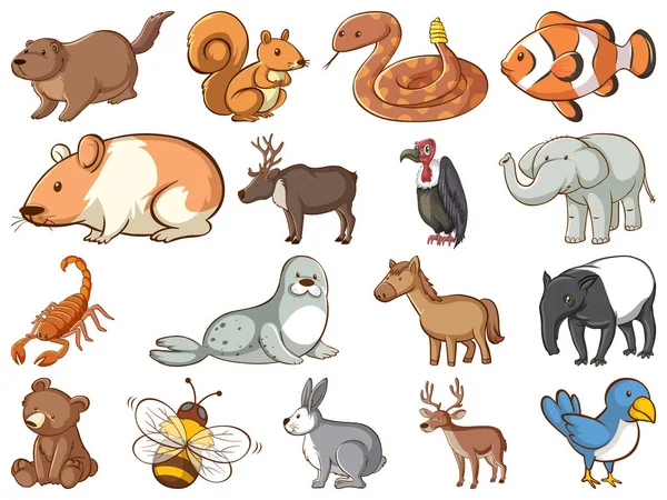 Velký soubor volně žijících živočichů s mnoha druhy zvířat — Stockový vektor