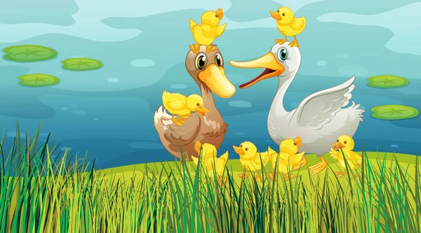 Escena con patos y polluelos junto al estanque — Vector de stock