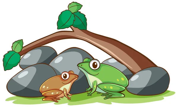 Isolated picture of two frogs under the branch — 스톡 벡터