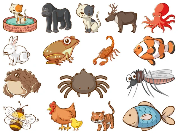 Velký soubor volně žijících živočichů s mnoha druhy zvířat a hmyzu — Stockový vektor