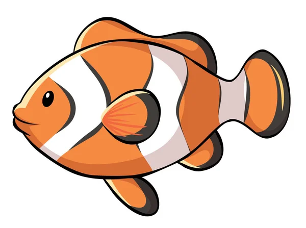 Clownfish na bílém pozadí — Stockový vektor
