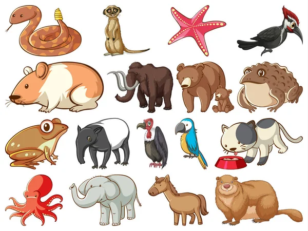 Grand ensemble d'animaux sauvages avec de nombreux types d'animaux terre et mer — Image vectorielle