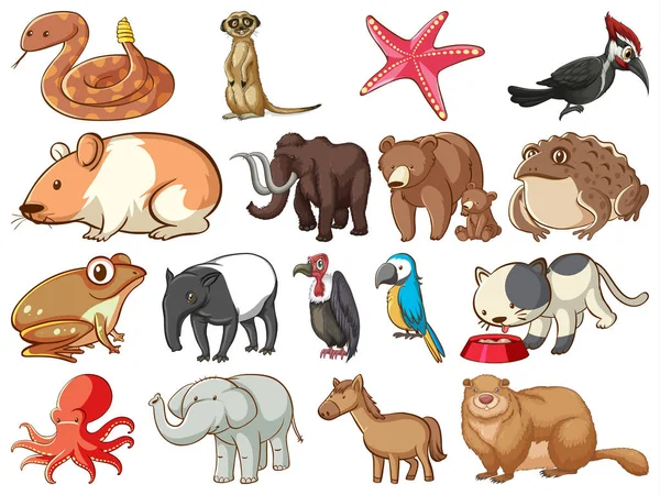 Large set of wildlife with many types of animals land and sea — 스톡 벡터