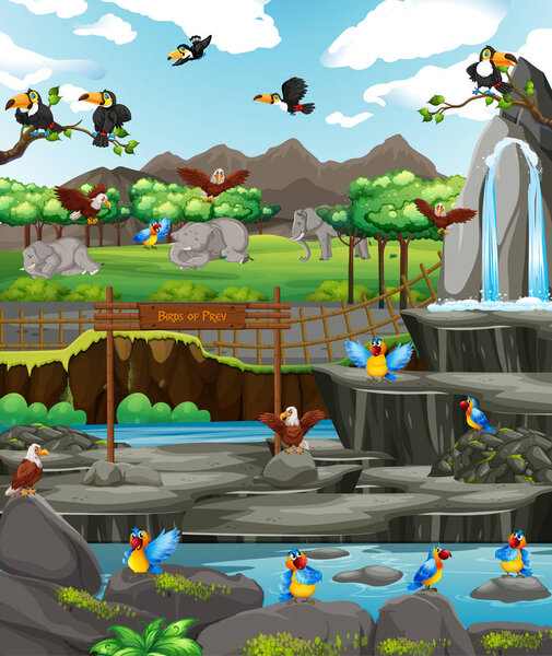 Scene with birds at the zoo