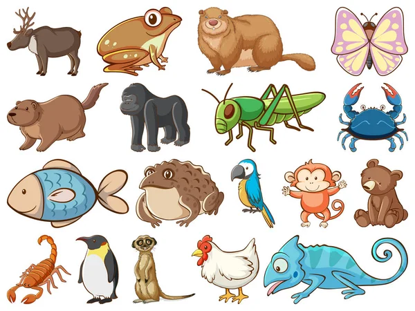 Large set of wildlife with many types of animals and insects — Stock Vector