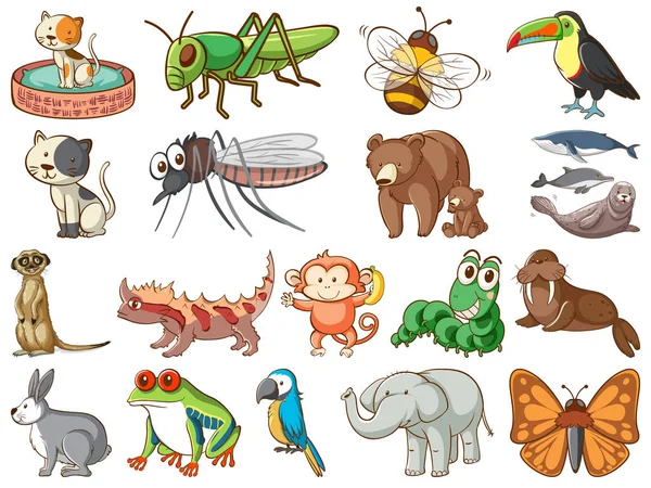 Grande conjunto de animais selvagens com muitos tipos de animais e insetos — Vetor de Stock