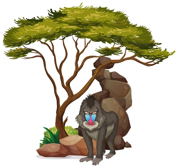 Isolated picture of baboon under the tree — Stock Vector