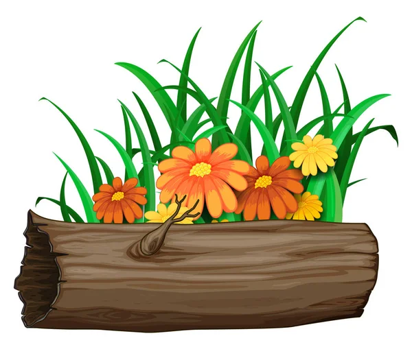 Orange flowers on wooden log on white background — 스톡 벡터