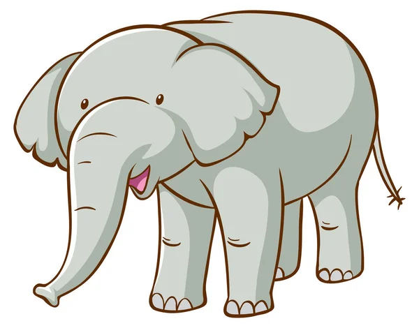 Grijze olifant op witte achtergrond — Stockvector