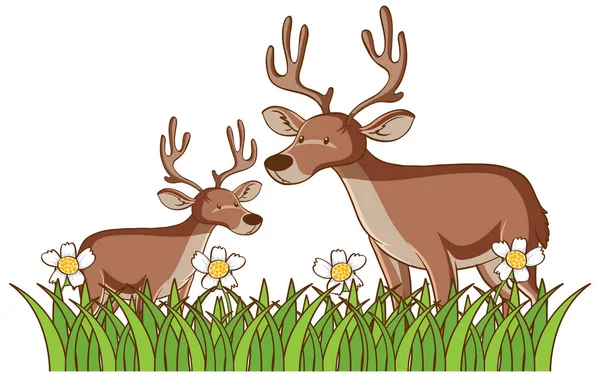 Isolated picture of two deers — Stock Vector