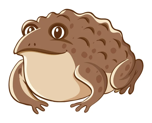 Brown toad on white background — 스톡 벡터