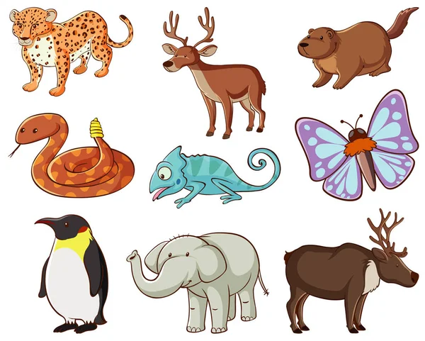 Grote verzameling wilde dieren met vele soorten dieren — Stockvector