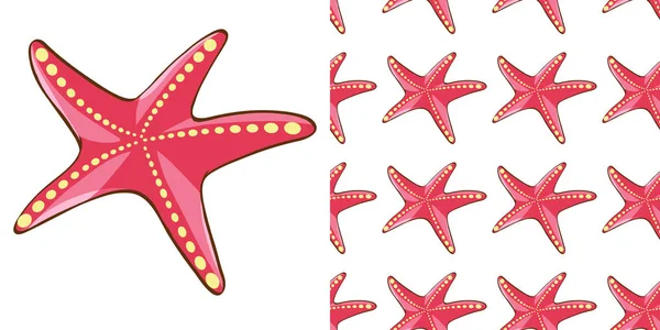 Zökkenőmentes háttér design vörös tengeri csillag — Stock Vector