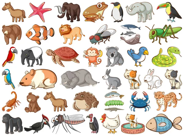 Grand ensemble d'animaux sauvages avec de nombreux types d'animaux terre et mer — Image vectorielle