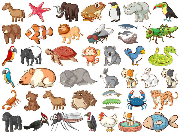 Large set of wildlife with many types of animals land and sea