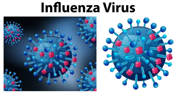 Nahaufnahme isoliertes Objekt des Virus namens Influenza-Virus — Stockvektor