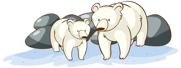 Πολικές αρκούδες σε λευκό φόντο — Διανυσματικό Αρχείο