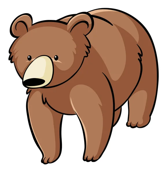 Urso pardo no fundo branco —  Vetores de Stock