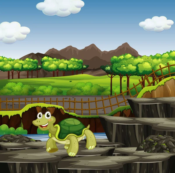 Scenă cu broască țestoasă în grădina zoologică — Vector de stoc