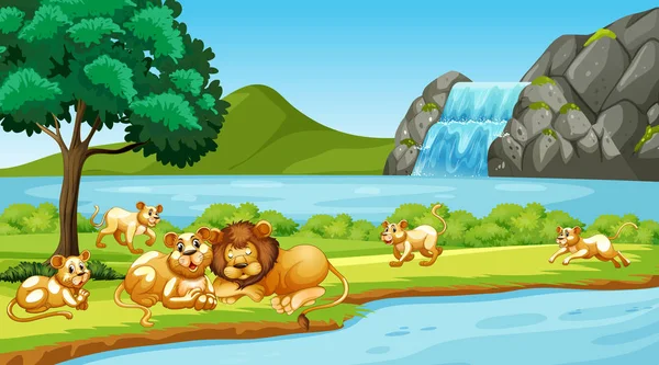 Escena con leones en el parque — Vector de stock