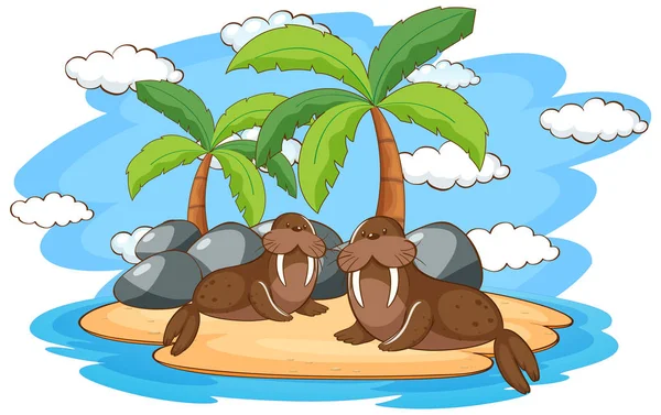 Escena con dos morsas en la isla — Archivo Imágenes Vectoriales