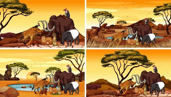 Quattro scene con animali in savana — Vettoriale Stock