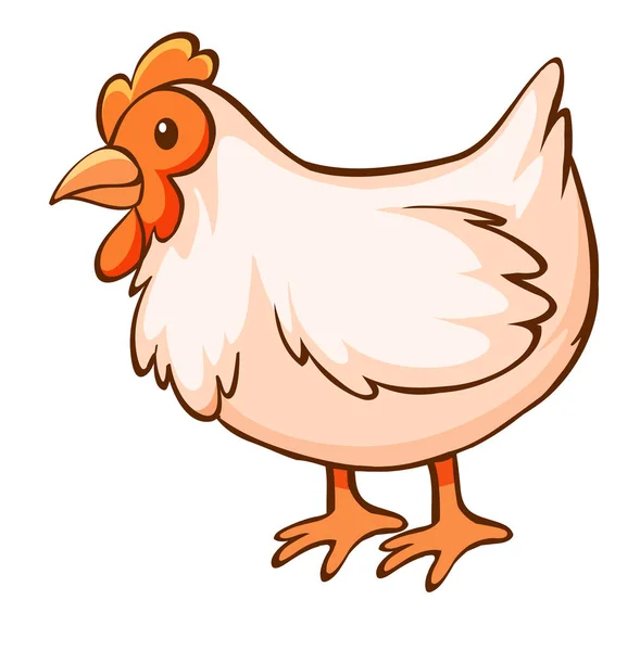 Chicken on white background — Stock Vector