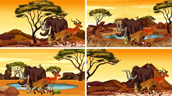 Vier Szenen mit afrikanischen Tieren — Stockvektor