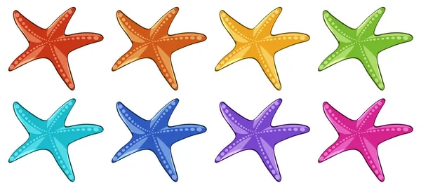 Muitas estrelas do mar em cores diferentes —  Vetores de Stock