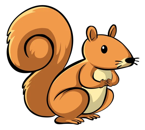 Cute squirrel on white background — Stock Vector